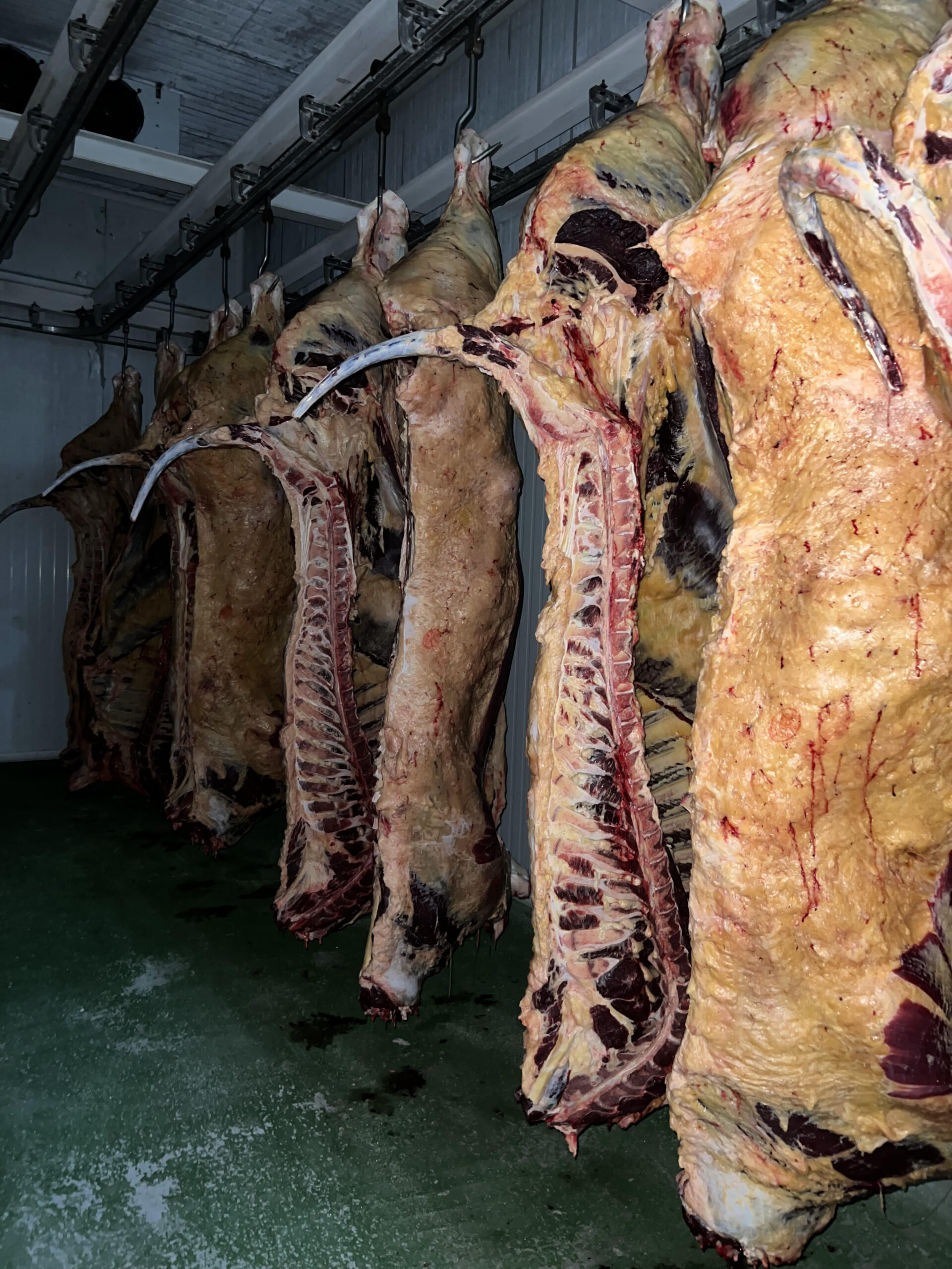 Beef carcasses · Finca Terranoble