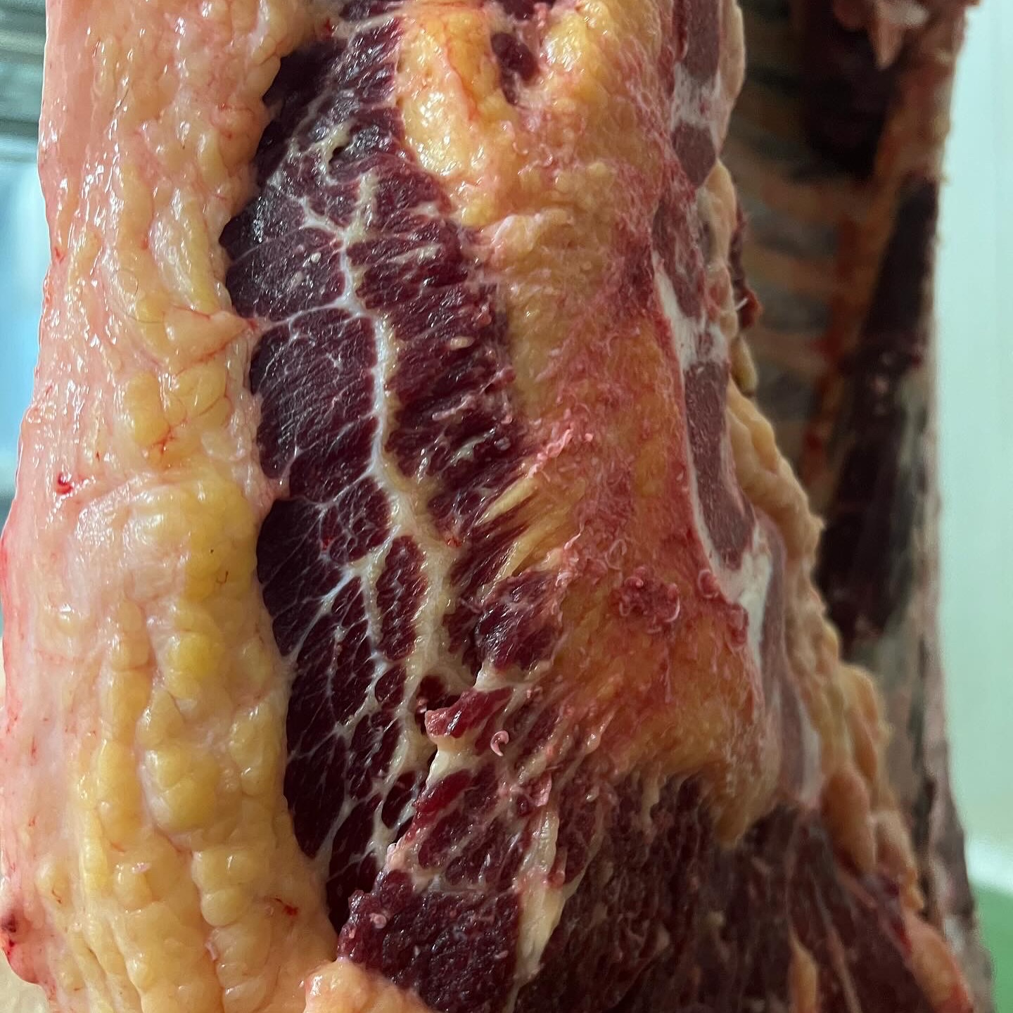 Detalle de carne de Terranoble