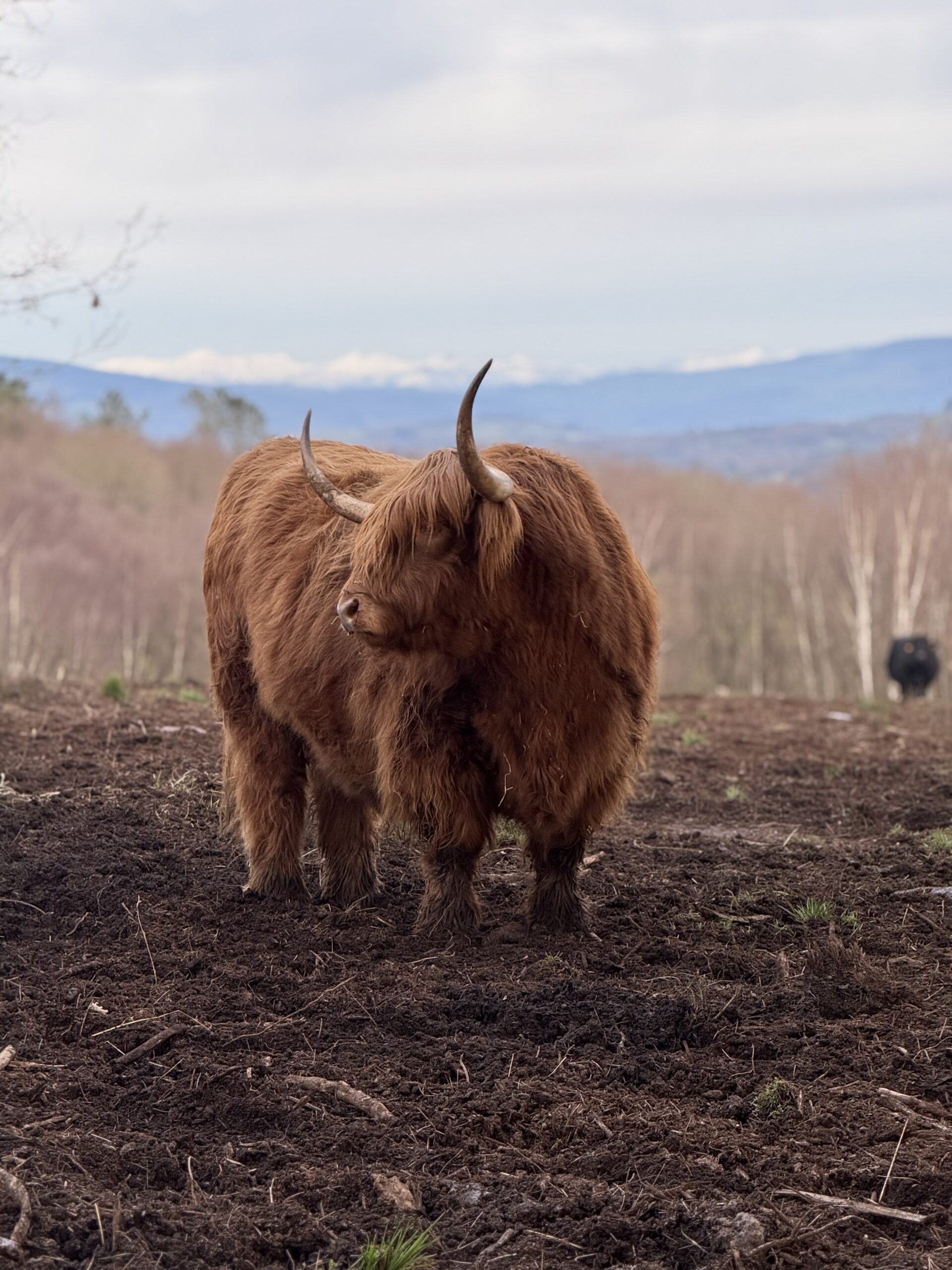 Highland en Finca Terranoble