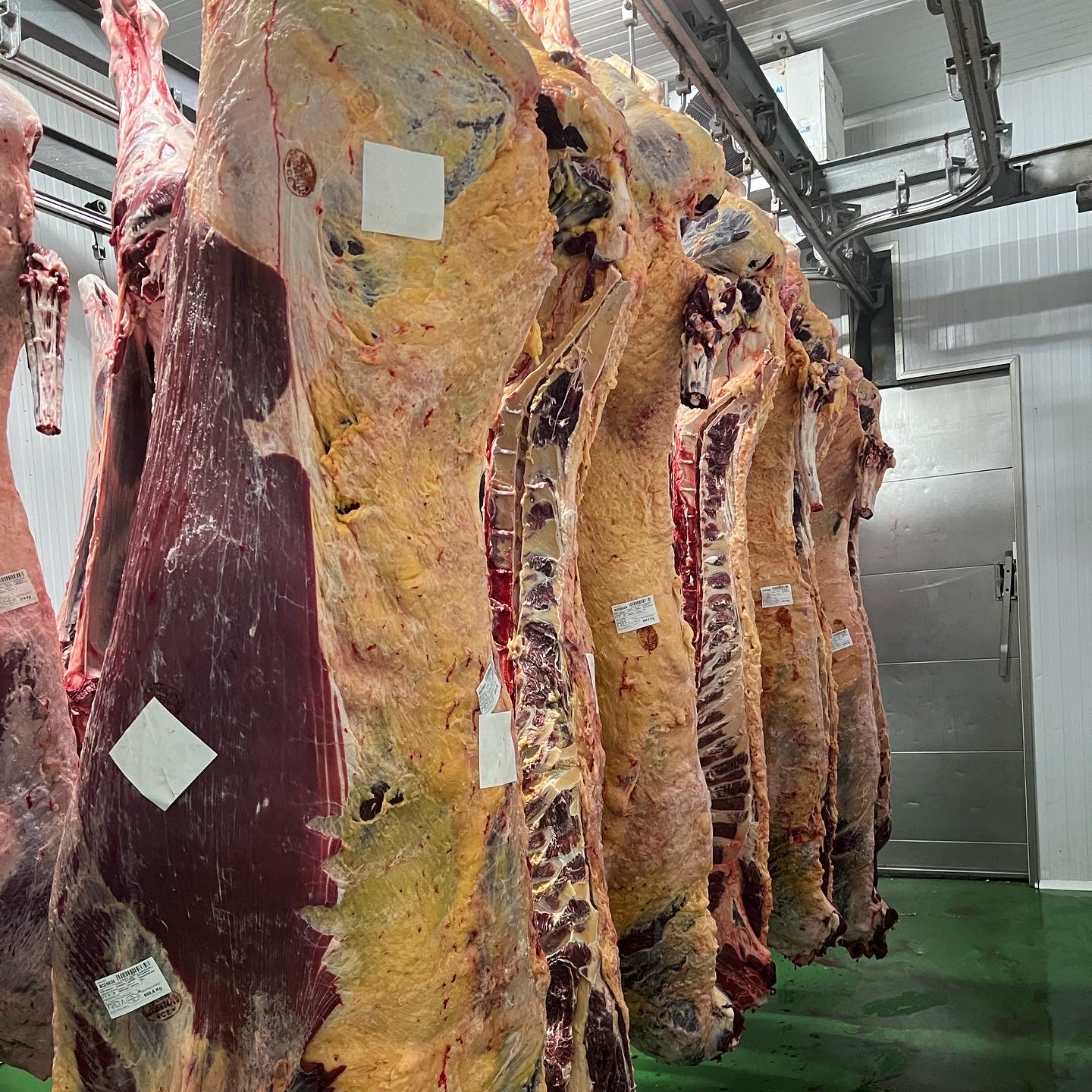 Selected cow carcasses · Finca Terranoble