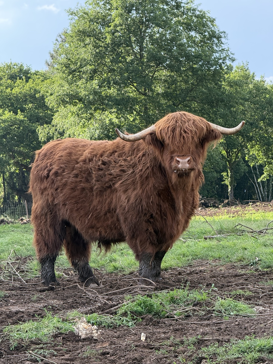 Highland · presencia y singularidad · Finca Terranoble